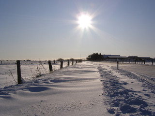 Winter auf Sylt 2010
