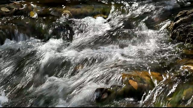 Running water in the Carpathians Mountains