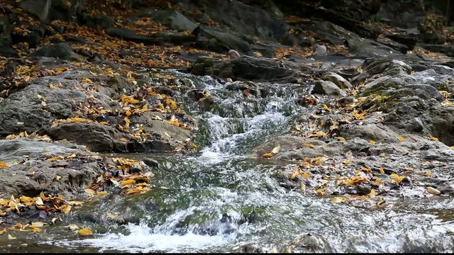 Running water in the Carpathians Mountains