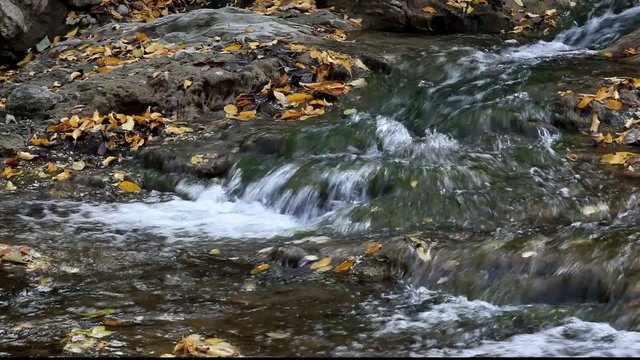 Running water in the Carpathians Mountains