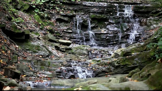Running water in the Carpathians Mountains