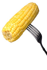 maize on fork