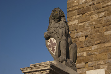 Fototapeta na wymiar Statua di Leone - Firenze