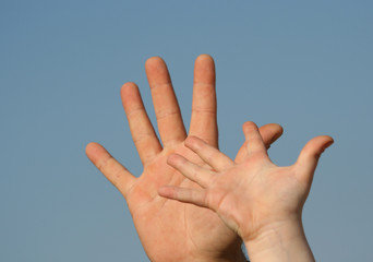 father and son palms on sky background