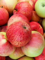 Fruit  apples