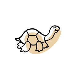 Turtle. Zoo figure adapted for the child's perception.