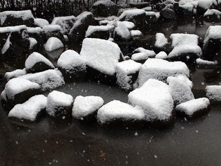 雪を冠る池の石