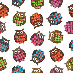 Fototapeta premium harlequin owls