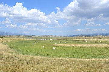 Fototapeta premium landscape nature