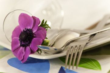 Tischset mit Anemone