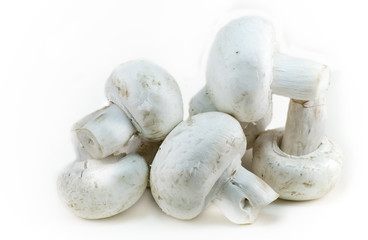 champignon frais