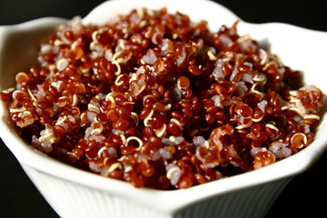 quinoa rouge