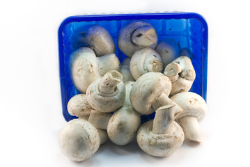 barquette de champignon