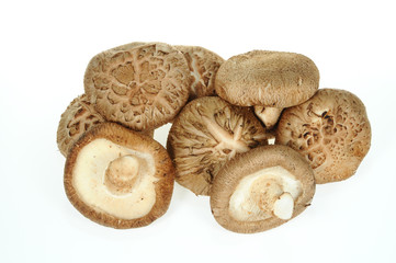 Dried Mushroom On White Background