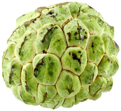 atte, fruit tropical, fond blanc