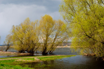 Oderbruch