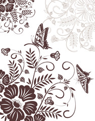 Flower background