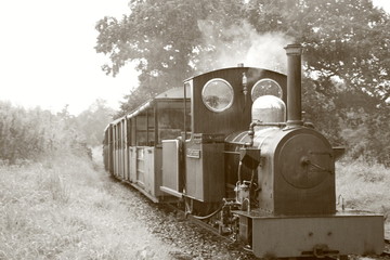 Train 1