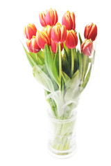 tulips in glass vase