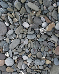 Pebbles.