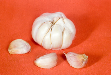 garlic