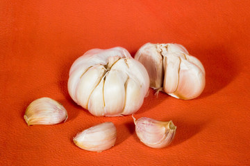 garlic