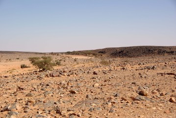 Desert de Libye