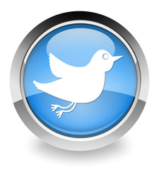 Blue internet bird orb icon