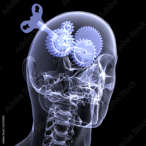 Skeleton X Ray Windup Gear Head Wall Mural Wallpaper Murals Jeffrey Collingwood
