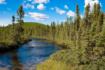 Zelfklevend Fotobehang Northern Saskatchewan Creek © Scott Prokop