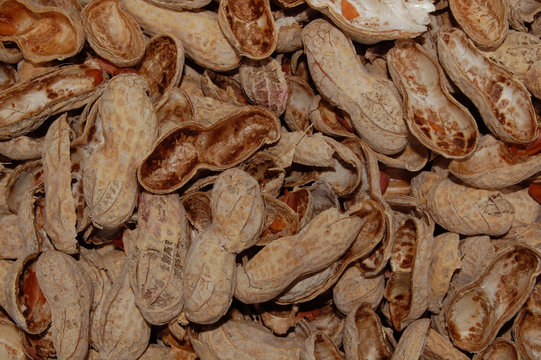 Background Of Empty Peanut Shells