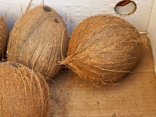 Kokosnuss im Angebot