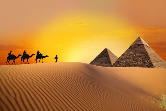 Pyramid, camel and sunset