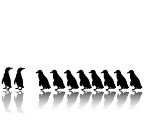 Obraz premium Pinguinreihe mit Spiegelungen