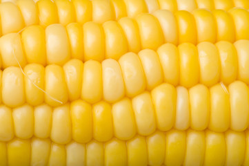 maize macro