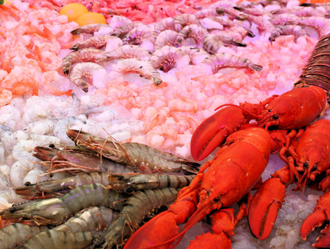 hummer, shrimps, krabben