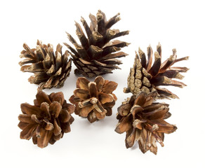 cone isolated on white background