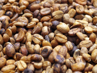 unroasted coffee beans