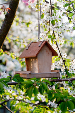 Bird house in the spring garden