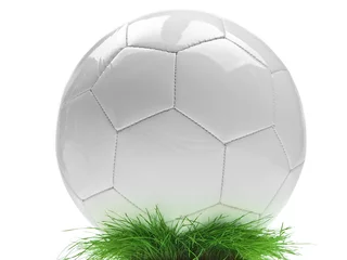 Peel and stick wall murals Soccer classic soccer ball on green grass
