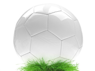 soccer ball on green lawn © Lucky Dragon