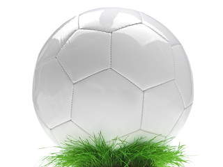 soccer ball on green lawn © Lucky Dragon