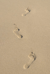 Spur im Sand