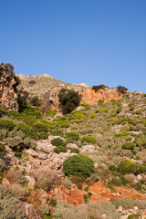 Fototapeta na wymiar Phrygana landscape