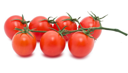 Tomatoes