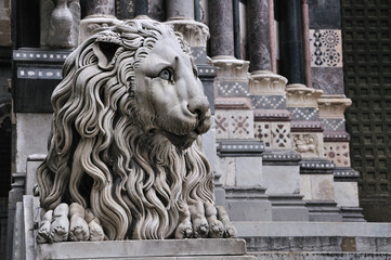 Genova San Lorenzo cathedral's - with lion