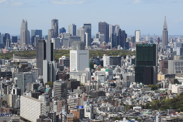 Fototapeta na wymiar Shinjuku daleki widok