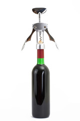 wine bottle isolated on a white background