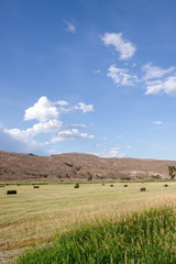 Haystacks