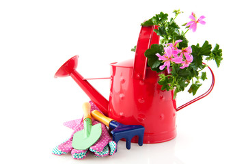 Gardening